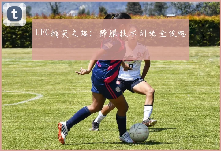 UFC精英之路：降服技术训练全攻略