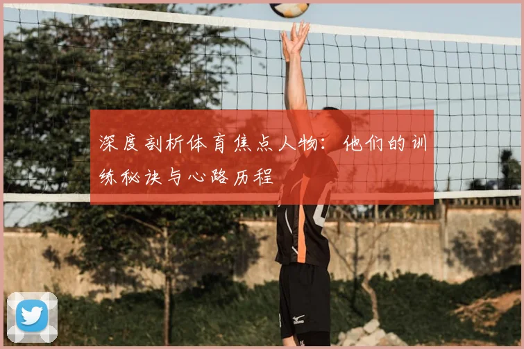 深度剖析体育焦点人物：他们的训练秘诀与心路历程