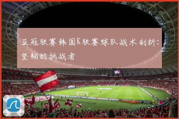 亚冠联赛韩国K联赛球队战术剖析：坚韧的挑战者
