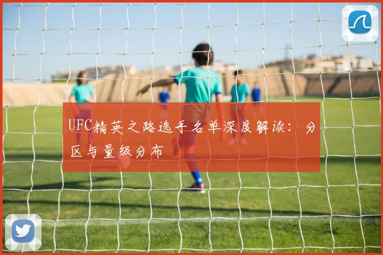 UFC精英之路选手名单深度解读:分区与量级分布