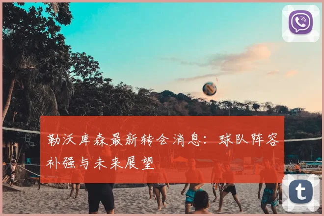 勒沃库森最新转会消息:球队阵容补强与未来展望