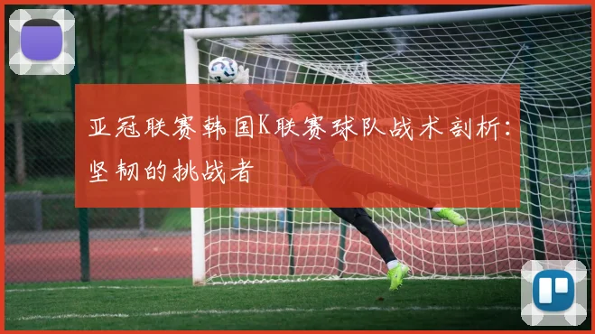 亚冠联赛韩国K联赛球队战术剖析：坚韧的挑战者