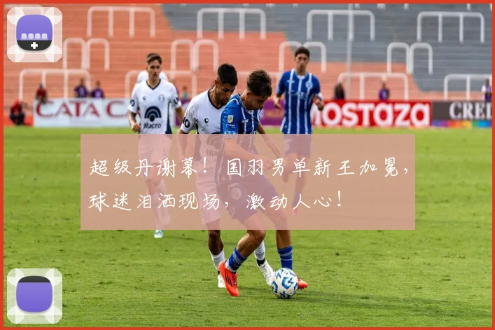 超级丹谢幕！国羽男单新王加冕，球迷泪洒现场，激动人心！