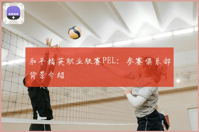 和平精英职业联赛PEL：参赛俱乐部背景介绍