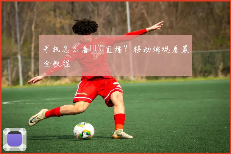 手机怎么看UFC直播？移动端观看最全教程