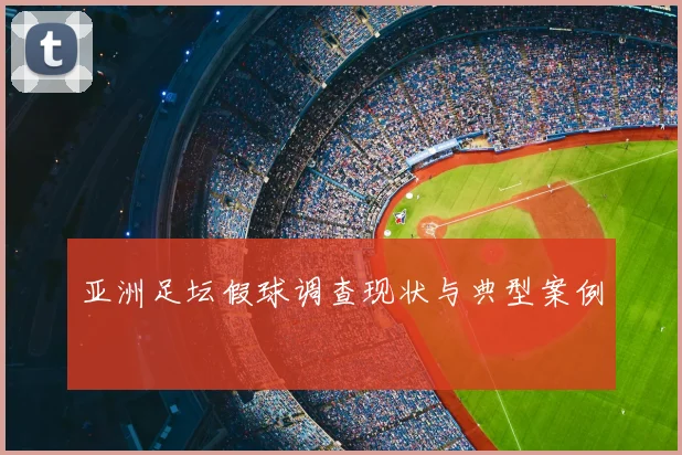 亚洲足坛假球调查现状与典型案例