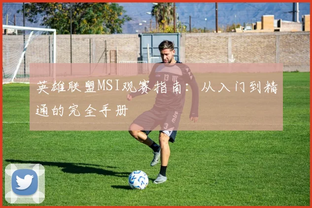 英雄联盟MSI观赛指南:从入门到精通的完全手册