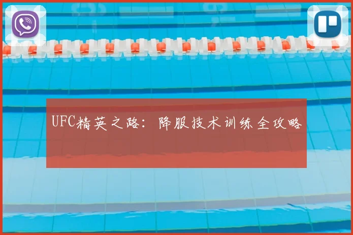 UFC精英之路：降服技术训练全攻略