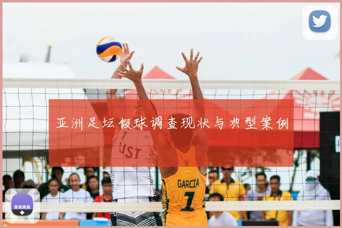 亚洲足坛假球调查现状与典型案例