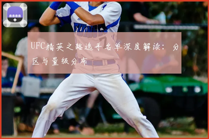 UFC精英之路选手名单深度解读：分区与量级分布